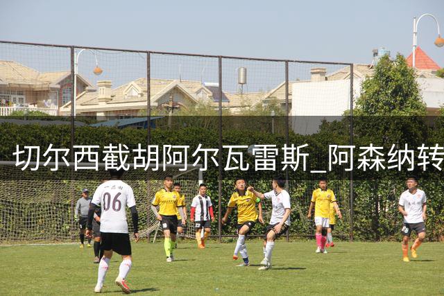 切尔西截胡阿尔瓦雷斯 阿森纳转会梦碎