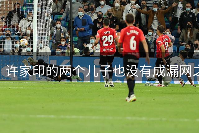 许家印的两个儿子也没有成漏网之鱼，恒大歌舞团再次上热搜
